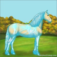 Horse Color:Thunderstruck Palomino Tobiano