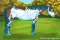 Horse Color:Thunderstruck Bay Frame