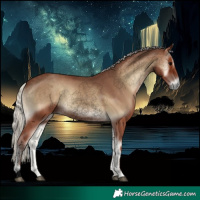 Horse Color:Void Silver Blue Onyx 