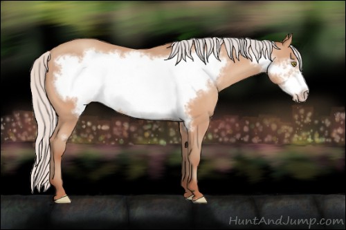 Horse Color:Silver Amber Champagne Frame 