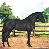 Horse Color:Black Rabicano 