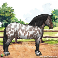 Horse Color:Brown Roan Near Leopard 
