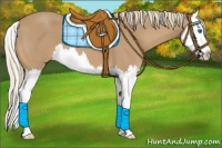 Horse Color:Chestnut Mushroom Splash 