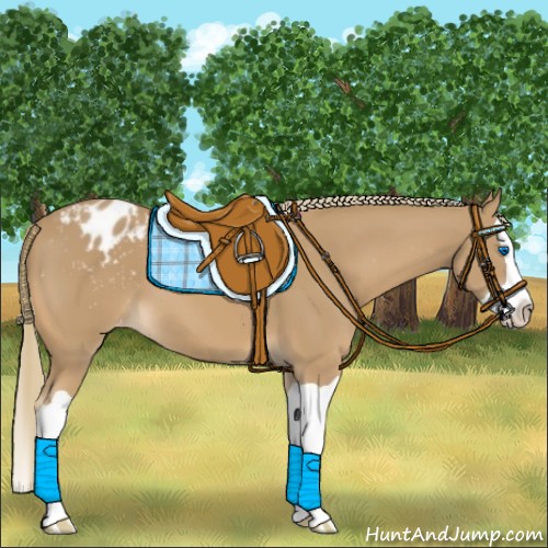 Horse Color:Chestnut Mushroom Splash Appaloosa 