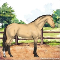 Horse Color:Buckskin Dun 