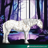 Horse Color:Silver Smoky Grullo Sabino Near Leopard 