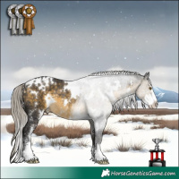 Horse Color:White Spotted Silver Buckskin Sabino Rabicano