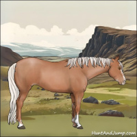 Horse Color:Silver Black Pearl Sabino Rabicano 