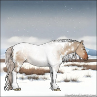 Horse Color:White Spotted Silver Brown Dun Tobiano 