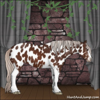Horse Color:Silver Brown Sabino Tobiano Near Leopard 