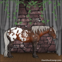 Horse Color:White Spotted Silver Brown Sabino Blanket Rabicano 