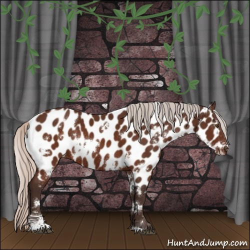 Horse Color:White Spotted Silver Brown Sabino Appaloosa Rabicano 