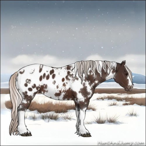 Horse Color:White Spotted Silver Brown Appaloosa 