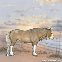 Horse Color:Silver Brown Roan Splash 
