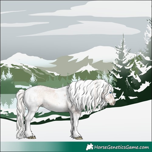 Horse Color:Silver Bay Onyx Sabino Splash Rabicano 