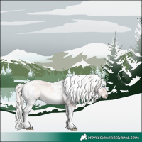 Horse Color:Silver Bay Onyx Sabino Splash Rabicano 