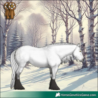 Horse Color:Gray Platinum White Spotted Silver Brown Dun