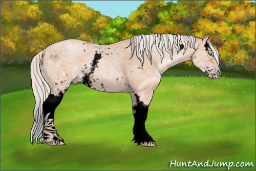 Horse Color:Void White Spotted Silver Amber Champagne Ice Sabino Splash 