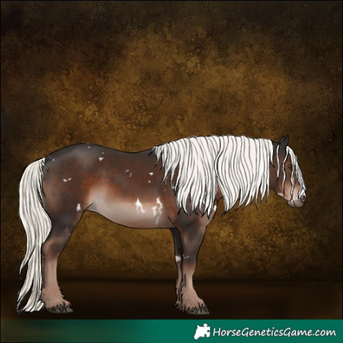 Horse Color:White Spotted Liver Chestnut Mushroom 