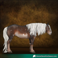 Horse Color:White Spotted Liver Chestnut Mushroom 