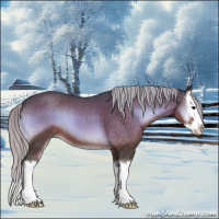 Horse Color:Silver Brown Roan Onyx Splash 