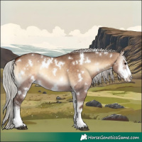 Horse Color:White Spotted Silver Brown Onyx Sabino 