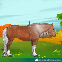 Horse Color:Silver Bay Tobiano 