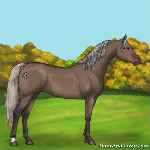 Horse Color:Silver Brown Dun 