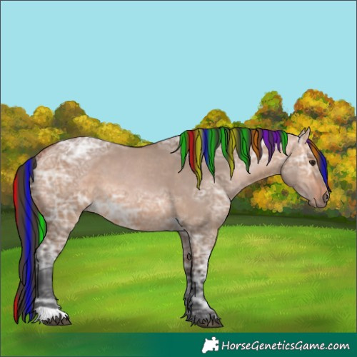 Horse Color:Painted Bay Ice Dun 