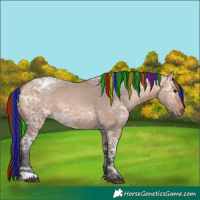 Horse Color:Painted Bay Ice Dun 