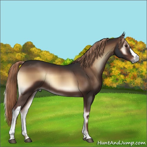 Horse Color:Liver Red Onyx 