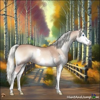 Horse Color:Red Onyx Mushroom Splash