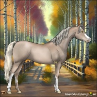 Horse Color:Liver Chestnut Pearl Mushroom 