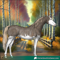 Horse Color:Chocolate Palomino Ice Mushroom Splash Rabicano 