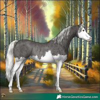 Horse Color:Liver Chestnut Ice Mushroom Splash Rabicano 