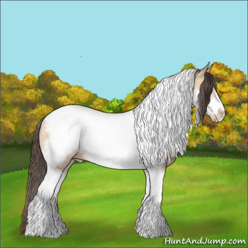 Horse Color:Amber Champagne Dun Tobiano Frame 