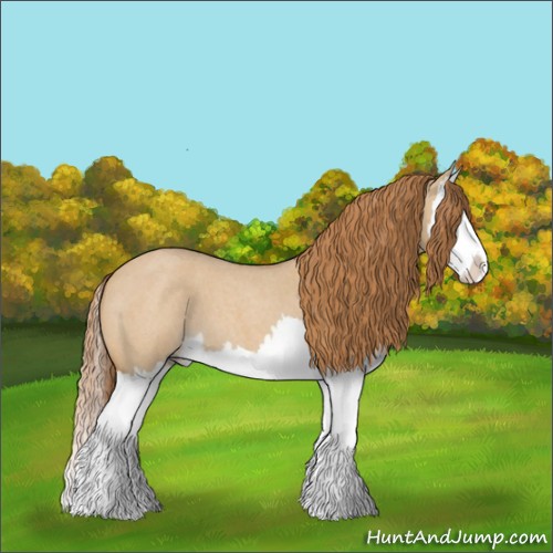 Horse Color:Red Dun Roan Splash 