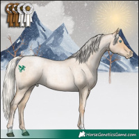 Horse Color:Silver Buckskin Roan Pearl 