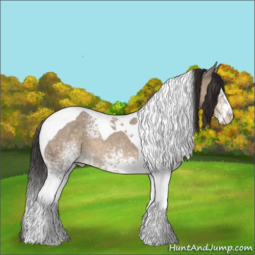 Horse Color:White Spotted Brown Dun Tobiano Appaloosa 