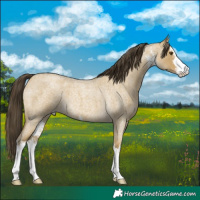 Horse Color:White Spotted Classic Cream Champagne Roan Dun 