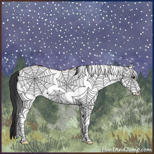 Horse Color:White Spotted Bay Dun Rabicano
