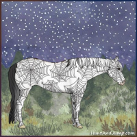 Horse Color:White Spotted Bay Dun Rabicano 
