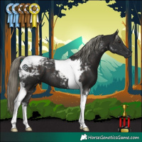 Horse Color:Liver Chestnut Mushroom Tobiano 