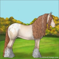 Horse Color:Sable Champagne Pearl Appaloosa 
