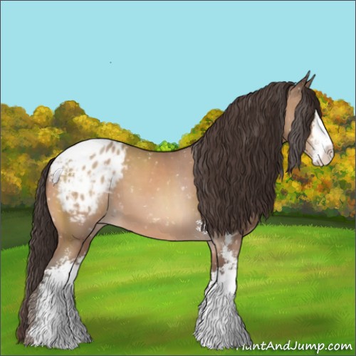 Horse Color:Sable Champagne Sabino Appaloosa 