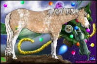 Horse Color:White Spotted Silver Buckskin Ice 