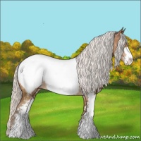 Horse Color:Silver Brown Pearl Sabino Appaloosa 