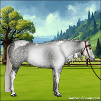 Horse Color:Gray Silver Black Sabino Tobiano 