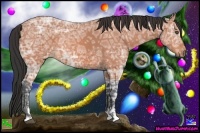 Horse Color:Bay Ice Roan Sabino