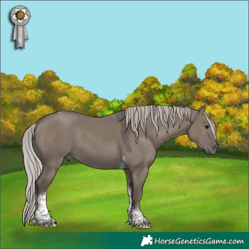 Horse Color:Silver Grullo Sabino Tobiano 